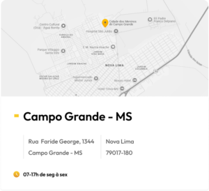 Ver localização no Google Maps