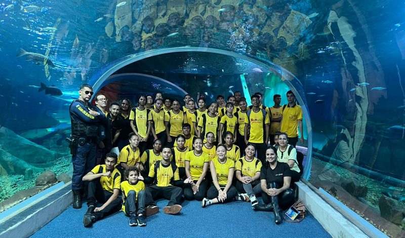 bioparque (5) bioparque (5)